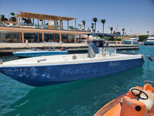 Listing image 1078855