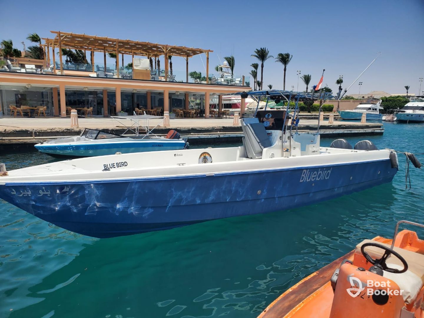 Blue Bird Charter