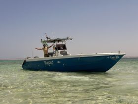 A person joyfully poses on the deck of the Bluebird boat, showcasing the vibrant waters and sunny atmosphere — perfect for adventure seekers and boat enthusiasts.
