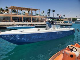 A clear view of the 'Bluebird' boat docked at the marina, showcasing its sleek design against a vibrant blue water backdrop.