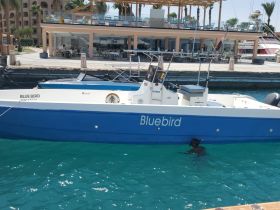 Charter Image