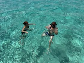 A child and an adult enjoy snorkeling in crystal-clear waters, showcasing the beauty of underwater exploration and family bonding during a fun day on the water.