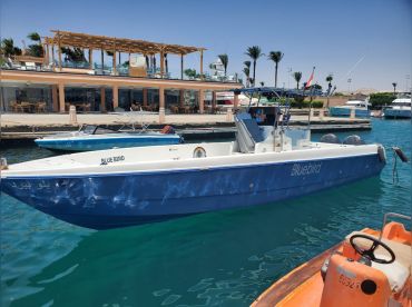 Blue Bird Charter