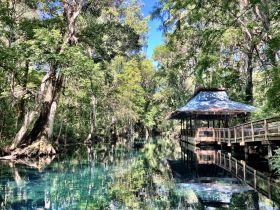 A serene view of a natural setting with a gazebo by the water, surrounded by lush greenery, perfect for nature lovers and tranquil escapes.