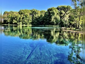 A serene view of clear waters reflecting lush greenery, perfect for nature lovers and tranquil escapes.
