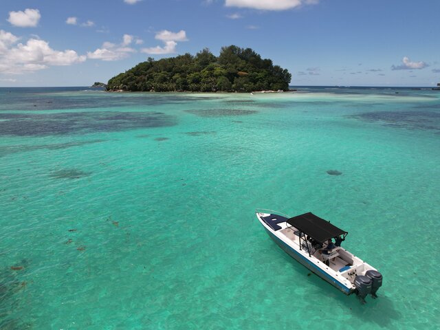 Listing image 1090593