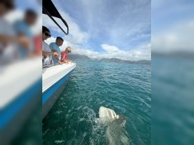 A group of people interact with a stingray while on a boat, showcasing a unique wildlife experience in the clear waters.
