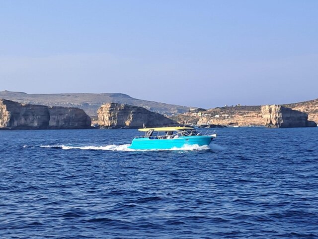 Listing image 1184268