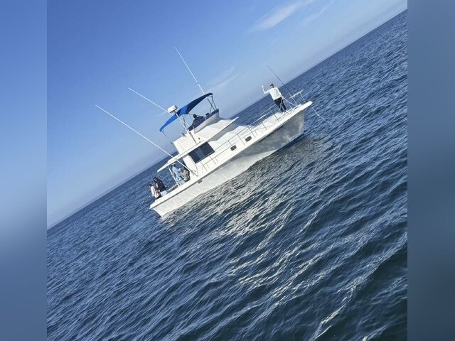 Listing image 1081650