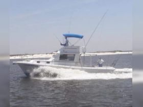 A sleek speedboat navigates through the water, showcasing its dynamic design and performance. Perfect for fishing trips or leisurely cruises on the open sea.
