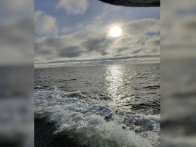A scenic view of the ocean with sunlight reflecting on the water, though the image lacks clarity and focus.