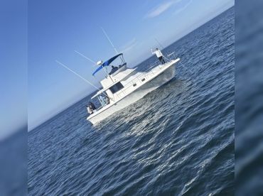 Shearwater Charters
