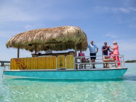 A lively group enjoys cocktails on a tiki boat, celebrating under the sun — perfect for fun outings on the water.