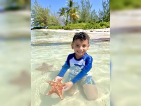 A joyful child interacts with a starfish in shallow waters, showcasing a delightful wildlife experience in a tropical setting.