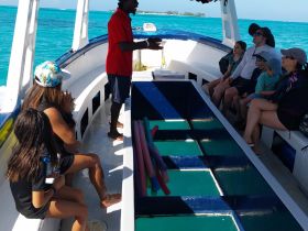 Guests are seated inside a boat, engaging with the captain during a tour — an inviting atmosphere for family adventures on the water.