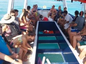 Charter Image