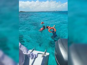 A group of snorkelers enjoys exploring the vibrant underwater world in crystal-clear waters, showcasing the excitement of ocean adventures.