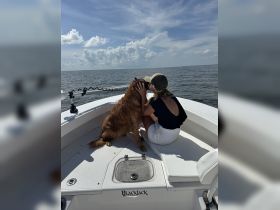 A woman shares a loving moment with her dog on the deck of a boat, enjoying the open ocean and sunny skies — perfect for pet-friendly boating adventures.