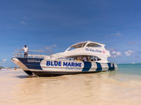 The 'Blue Marine' boat is docked on a sandy beach, showcasing its vibrant design and inviting atmosphere for water adventures in Punta Cana.