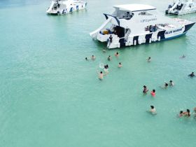 A lively scene of guests enjoying a refreshing swim around a catamaran, creating the perfect atmosphere for a fun day on the water.