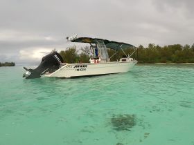 A sleek speedboat anchored in clear turquoise waters, showcasing its modern design and perfect for adventurous outings.