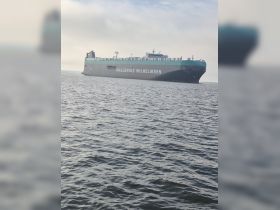 A large cargo ship, Wallenius Wilhelmsen, navigates through calm waters, showcasing its impressive structure and design.