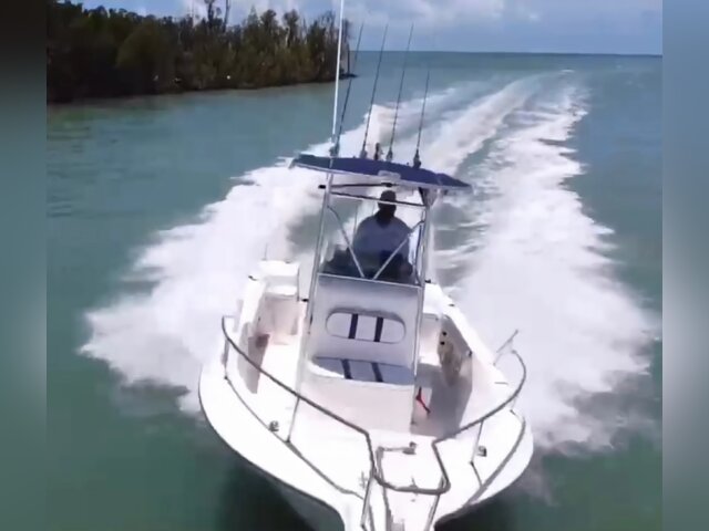 Listing image 1081857
