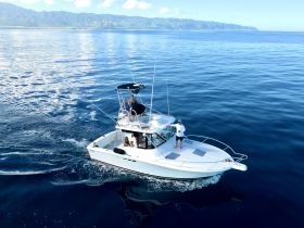 A group of friends enjoys a scenic cruise on a boat, surrounded by calm ocean waters and stunning mountain views — perfect for a day of adventure on the water.