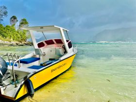 A vibrant yellow boat named 'Knot Easy' is anchored in shallow waters, surrounded by lush greenery and mountains, perfect for exploring coastal destinations.