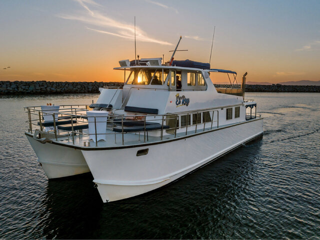 Listing image 1079991