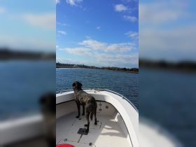Charter Image