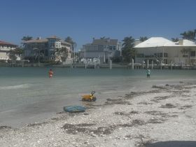 A child and an adult enjoy a fishing day at the beach, surrounded by beautiful waterfront homes — a perfect family outing in a serene coastal setting.