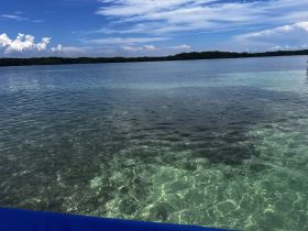 A scenic view of clear waters and distant greenery, capturing the tranquil beauty of a coastal landscape.