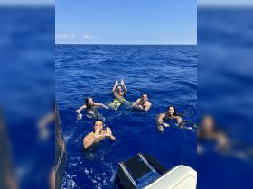 A lively group enjoys a refreshing swim in the deep blue ocean, capturing the joy of a perfect day on the water.
