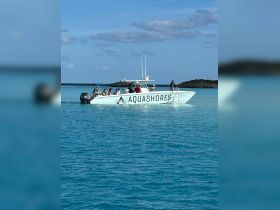 A lively group enjoys a day on the water aboard the Aquashores boat, perfect for exploring the beautiful turquoise waters.