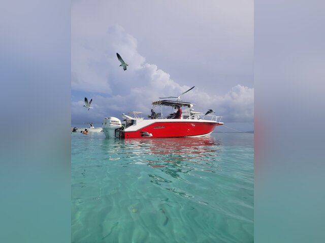 Listing image 1091177