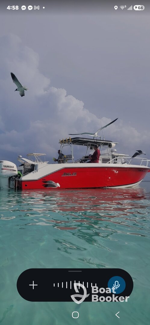Carly's Boat Trip