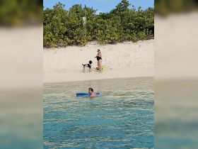 A woman enjoys a day at the beach with her dog while a man swims nearby, capturing the essence of fun and relaxation in a tropical paradise.