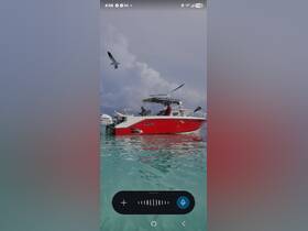 A vibrant Angler boat is anchored in clear waters, with a bird soaring overhead, capturing the essence of a perfect day on the water.