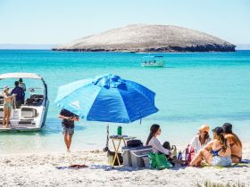 A lively group enjoys a sunny day at the beach, with a boat anchored nearby and friends relaxing under an umbrella — perfect for summer outings and beach adventures.
