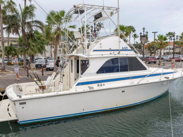 Listing image 1080625