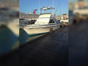 A fishing boat docked at the marina, showcasing its sleek design against a backdrop of a cruise ship and other vessels.