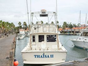 A clear view of the THAISA II yacht docked at the marina, showcasing its structure against a backdrop of palm trees and nearby boats.