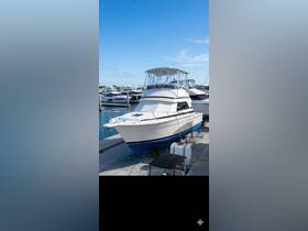 A pristine yacht docked at the marina, showcasing its sleek design and inviting atmosphere for future adventures on the water.