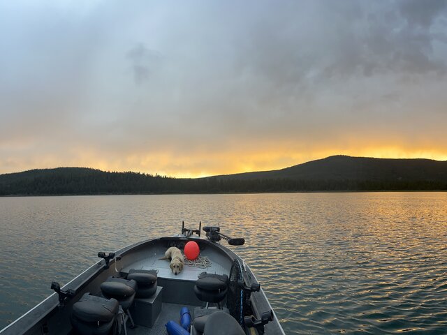 Listing image 1080657
