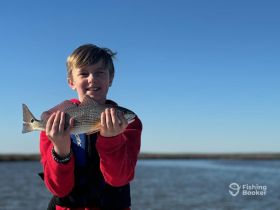A young boy proudly displays his catch of the day while fishing, showcasing the joy of outdoor adventures and wildlife encounters.
