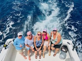 Charter Image