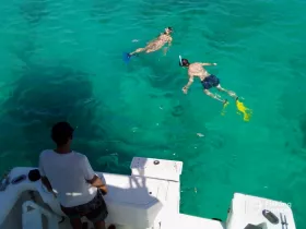Two snorkelers explore the vibrant underwater world in crystal-clear waters, making for an unforgettable aquatic adventure.