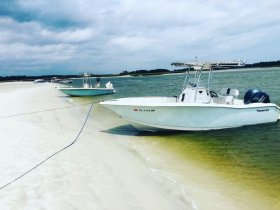 A scenic view of multiple speedboats docked along a sandy shoreline, showcasing the perfect spot for a day on the water.