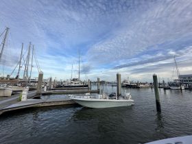 A scenic view of a marina filled with various boats and yachts, showcasing the tranquil atmosphere of docked vessels under a beautiful sky.
